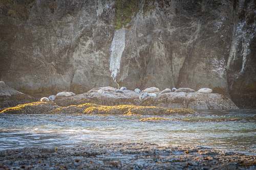 grey gray abstract painting bandon beach
